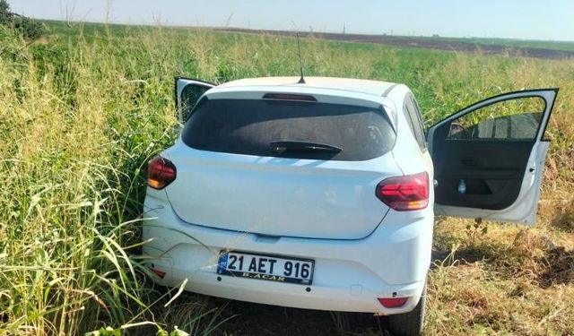 Diyarbakır'da araç tarlaya uçtu: Yaralılar var!