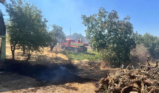 Diyarbakır'ın ilçesinde orman yangını: Yerleşim yerlerine doğru ilerliyor!