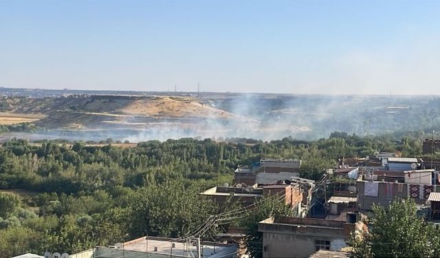 Hevsel Bahçeleri’nde yangın çıktı!
