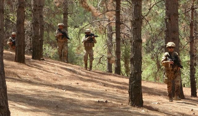 Mehmetçik Adıyaman'da orman yangınlarına karşı nöbette!