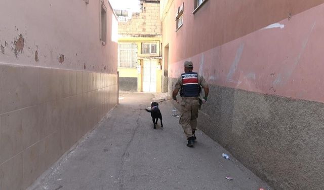 Diyarbakır’da JASAT operasyonu: Çok sayıda yakalama