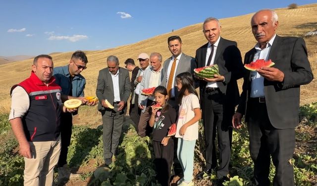 Hakkari’de mısır, karpuz ve kavun hasadı yapıldı