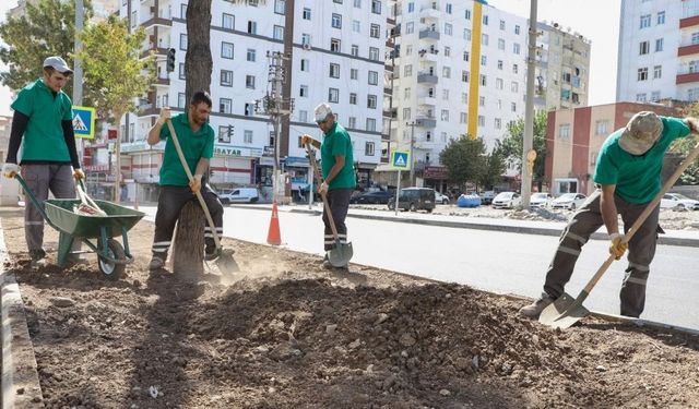 Diyarbakır Büyükşehir açıkladı: Bağlar yenileniyor!