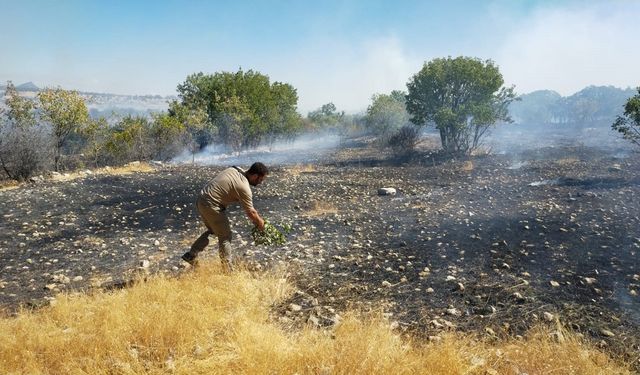 Diyarbakır Dicle’de orman ve örtü yangını