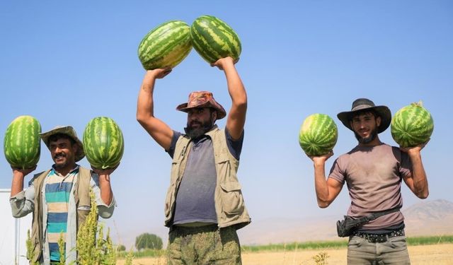 GÜNCEL