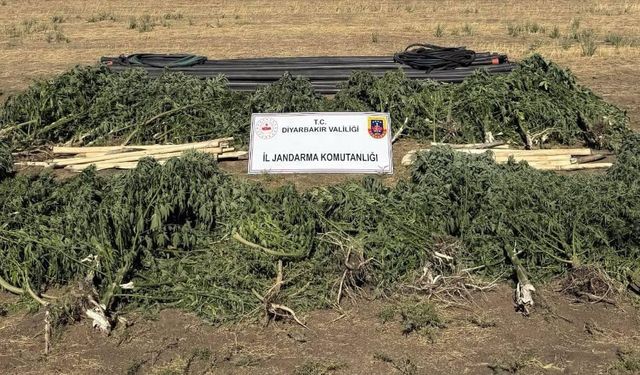 Diyarbakır’da ele geçirildi: Detayları belli oldu!