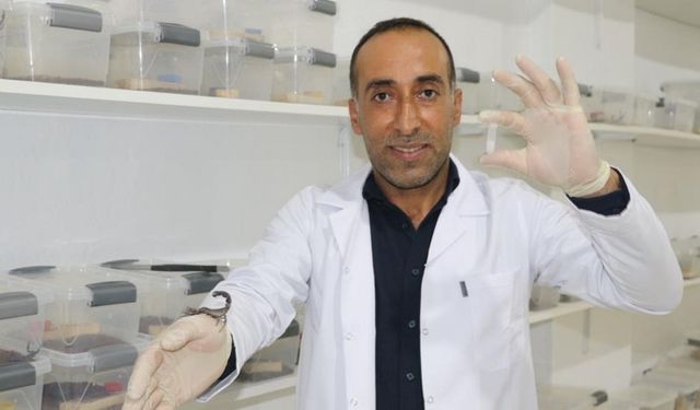 Diyarbakır’da inşaatı bıraktı, zehir üretti: Paraya para demeyecek!