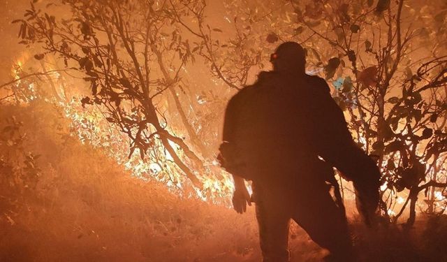 Diyarbakır'da orman yangını: Alevlere müdahale sürüyor