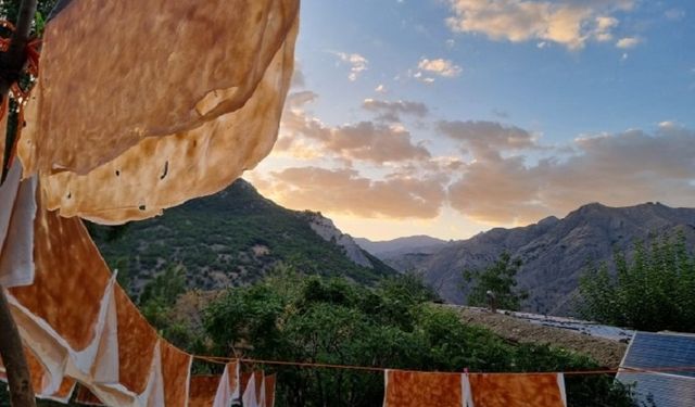 Diyarbakır’da telaş erken başladı: Bağ bozumu zamanı