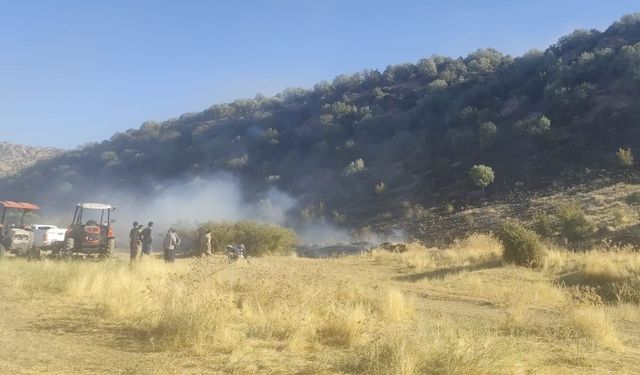 Diyarbakır’daki yangın ormanlık alana sıçradı!