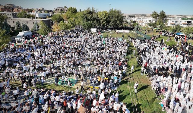 POLİTİKA