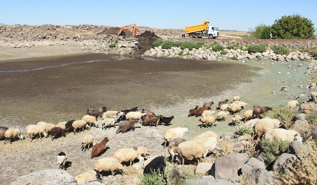 Diyarbakır’daki göletler onarıldı: Binlerce hayvan faydalanacak!