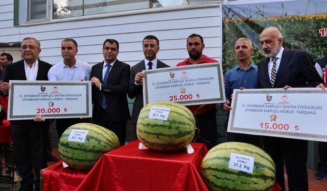 Diyarbakır'ın en büyük karpuzları belli oldu!