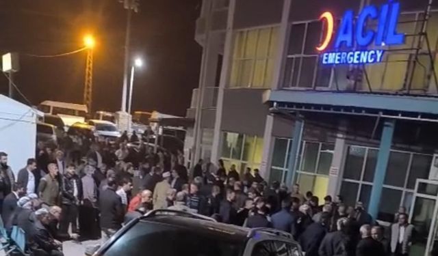 Ceviz ağacından düştü: Ferho Sevmiş hayatını kaybetti