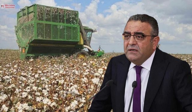 POLİTİKA