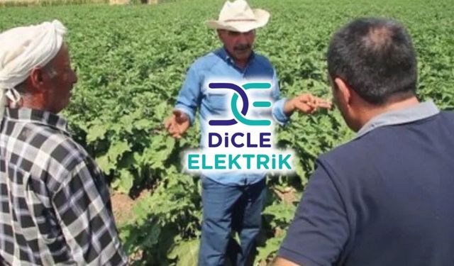 Diyarbakır’da şok fatura: 1 milyon 46 bin TL