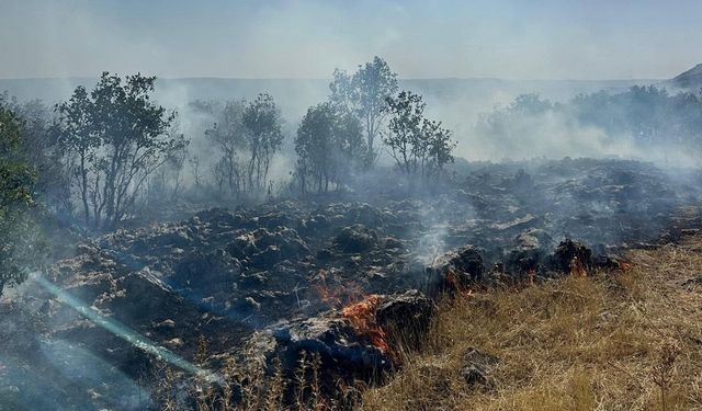 Diyarbakır Dicle’de yangın: Müdahale sürüyor