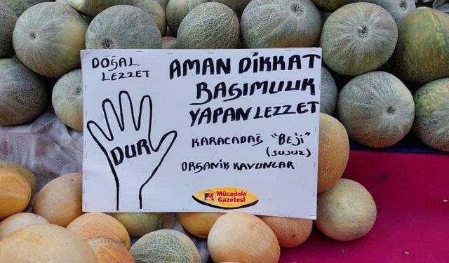 Diyarbakır kavunu tezgahlarda: "Aman dikkat bağımlılık yapar!"