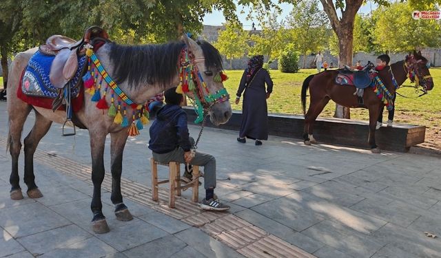 Diyarbakır Valiliği yasaklamıştı: Yeniden ortaya çıktı!