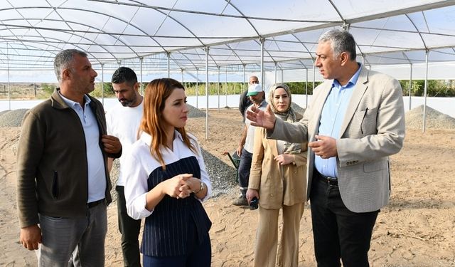 Diyarbakır’da fide yetiştirme serası kuruldu