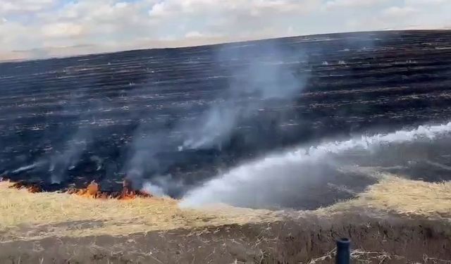 Diyarbakır’da onlarca dönümlük alanda anız yangını