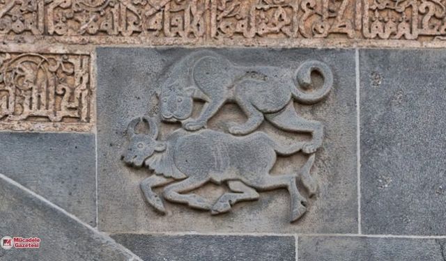 MÜCADELE ARŞİV