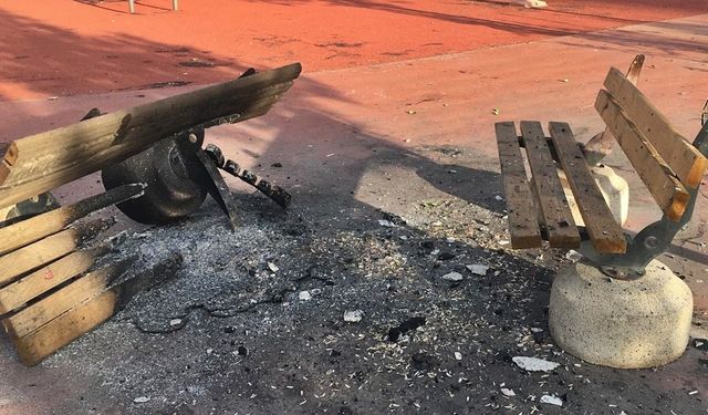 Diyarbakır’daki parkları yaktılar: Belediyeden açıklama!