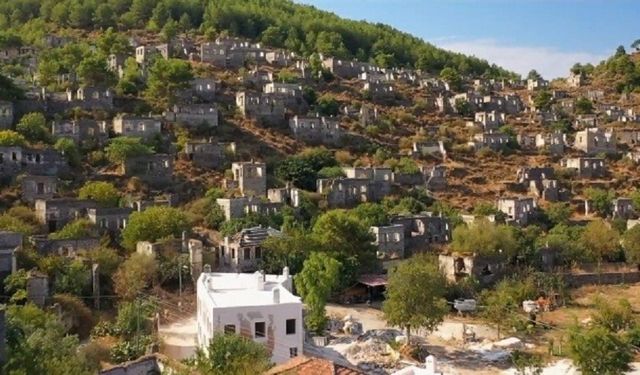YAŞAM