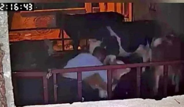 Kimse görmüyor sandı ama kamera kayıttaydı!