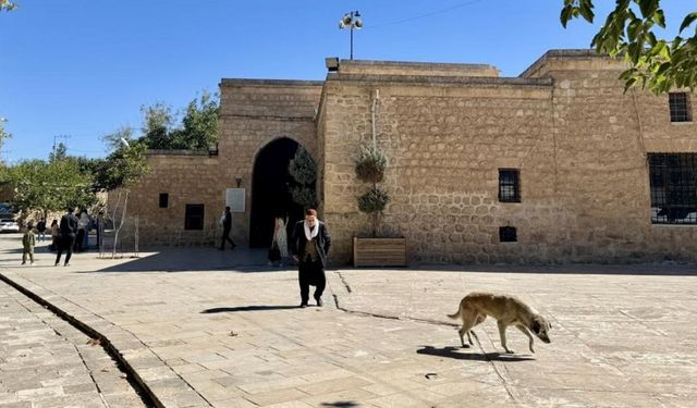 Diyarbakır'a çok yakın bir türbe: Çocuğu olmayan gidiyor