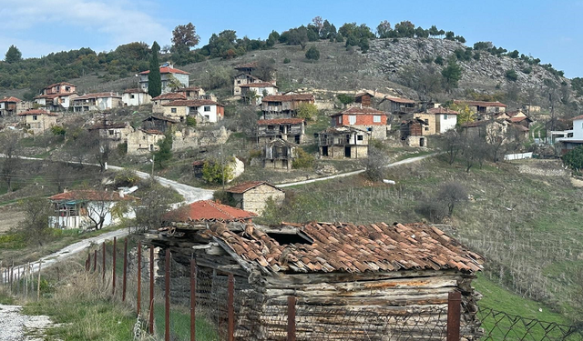 YAŞAM