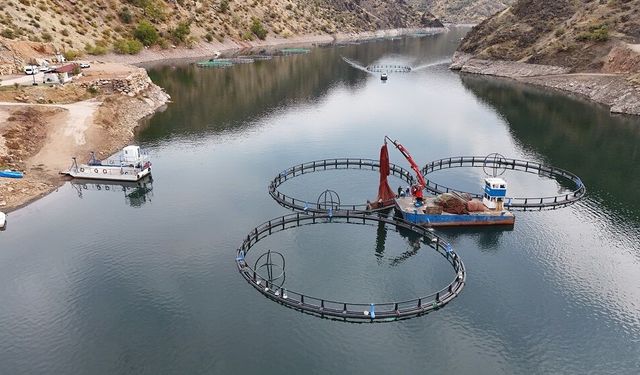 Diyarbakır’da dünyaya ihraç edilecek: Tam 500 ton kapasiteli