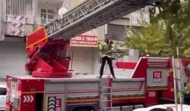 Diyarbakır Bağlar’da kedi kurtarma operasyonu