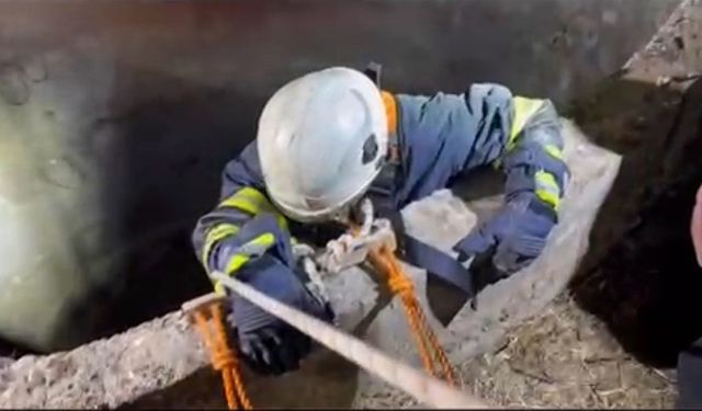 Batman’da su kuyusuna düşen çakalın imdadına itfaiye yetişti