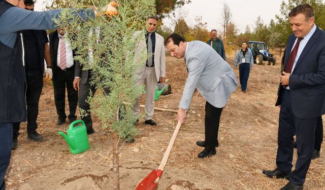 DİCLE ÜNİVERSİTESİ