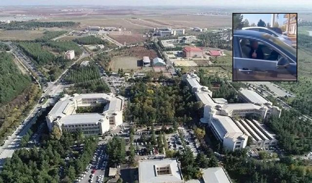 DİCLE ÜNİVERSİTESİ