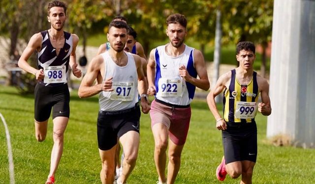 DİCLE ÜNİVERSİTESİ