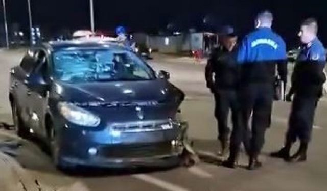 Diyarbakır Oğlaklı’da trafik kazası: Yaralılar var!