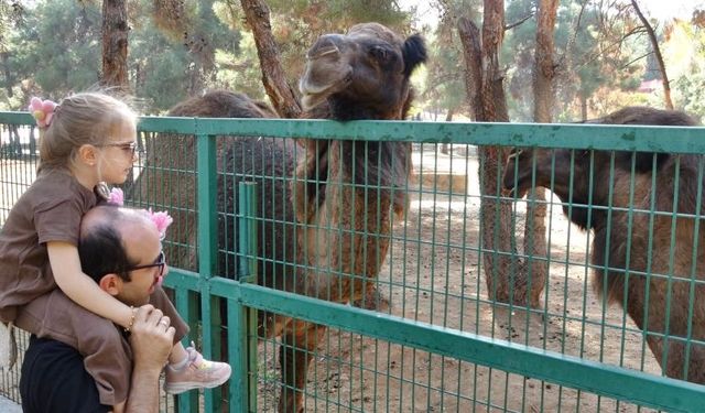 Diyarbakır’a en yakın Hayvanat Bahçesi’ne yoğun ilgi