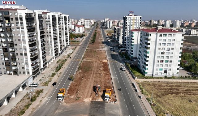 Diyarbakır’da bakımsızdı, o cadde yeşilleniyor: İşte adresi