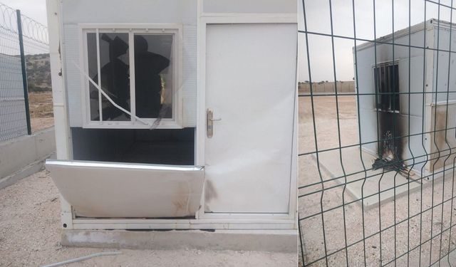 Diyarbakır'da hayvan barınağına saldırı: Belediye paylaştı