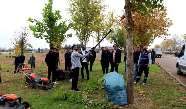 DİCLE ÜNİVERSİTESİ