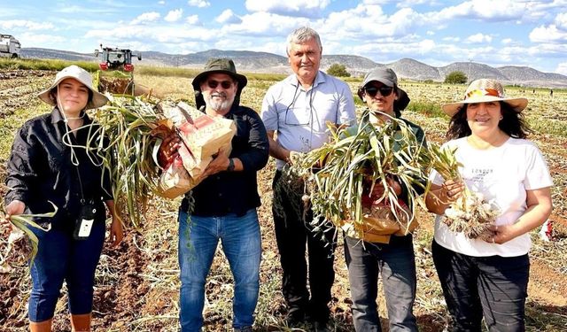 Diyarbakır’daki sarımsaklar Karabük’te inceleniyor!