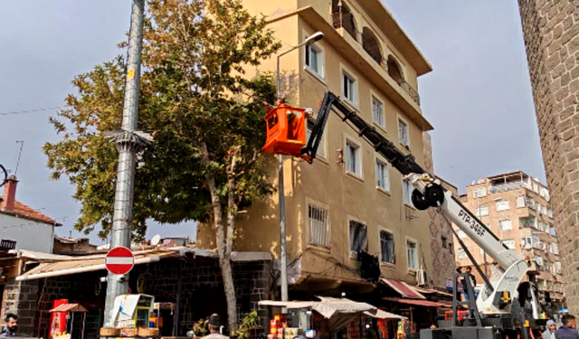 Diyarbakır’ın ilçesinde kış öncesi ağaç budama çalışması!