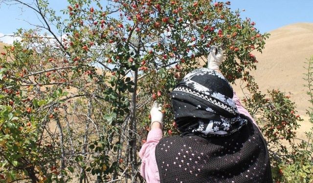 Bin derde deva: Reçeli de oluyor çayı da