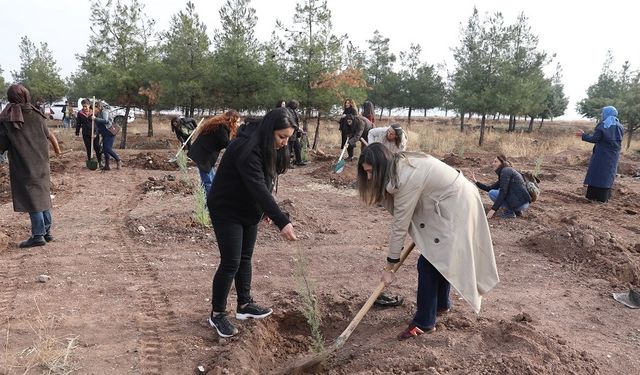 Diyarbakır’da kadınlar için Barış Ormanı’nda fidan dikildi