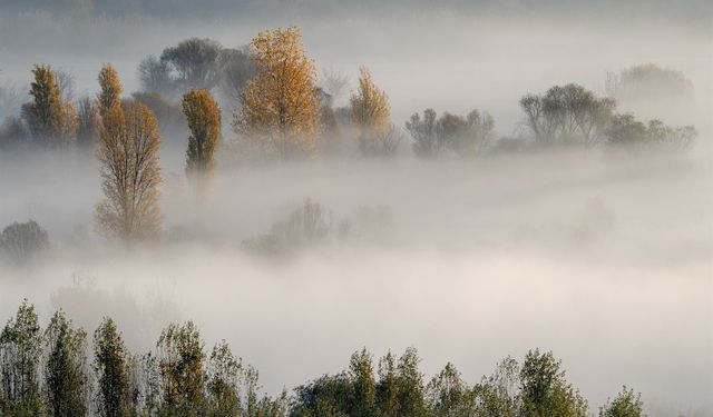 Diyarbakır’da UNESCO mirası olan Hevsel görünmez oldu!