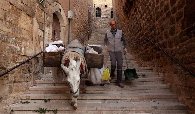 Mardin’de çöp taşıyan kadrolu eşekler emekli edilecek