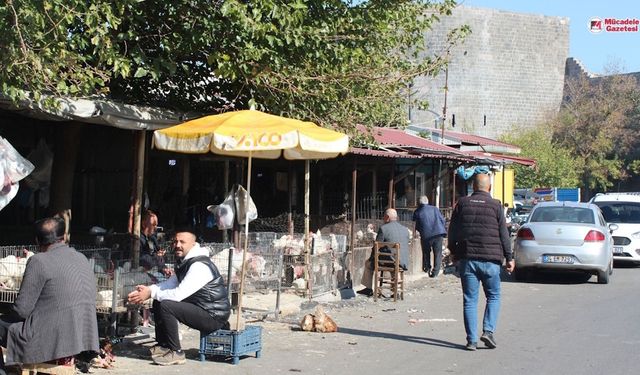 Yılbaşı yaklaşıyor: İşte Diyarbakır’daki hindi fiyatları