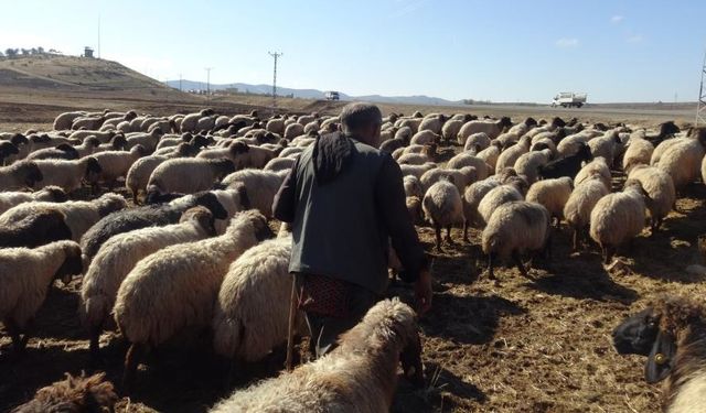 Yılın üç ayını yollarda geçiriyorlar: Koçerlerin yolculuğu başladı